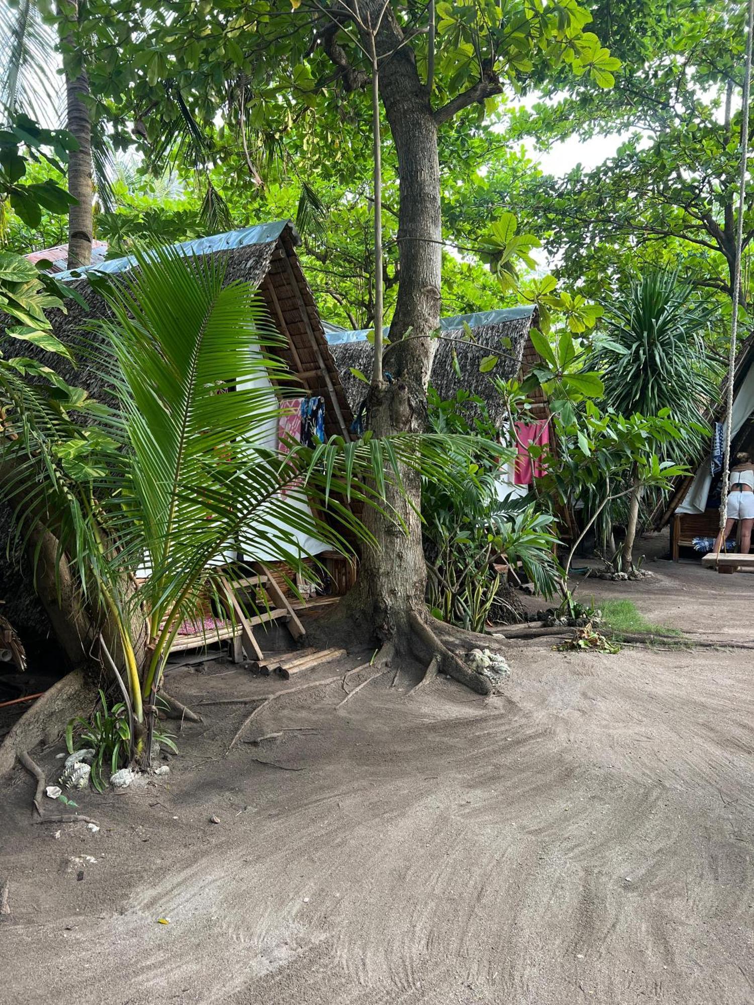 Georgia'S Neverland Hostel Malapascua Eksteriør billede